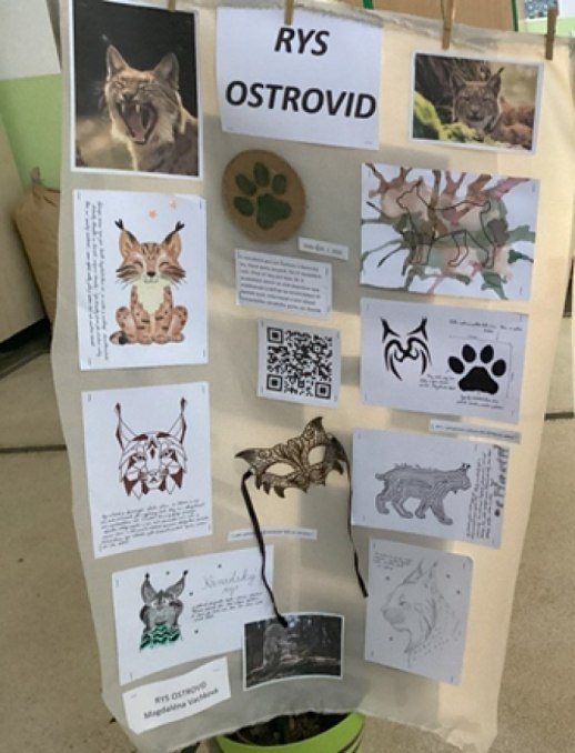 Savec (projekt) 7. A, B