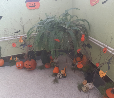 Dýňové čarování