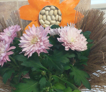 Pozdrav z kroužku Aranžování