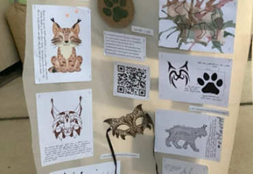 Savec (projekt) 7. A, B