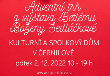 Naše škola na adventním trhu
